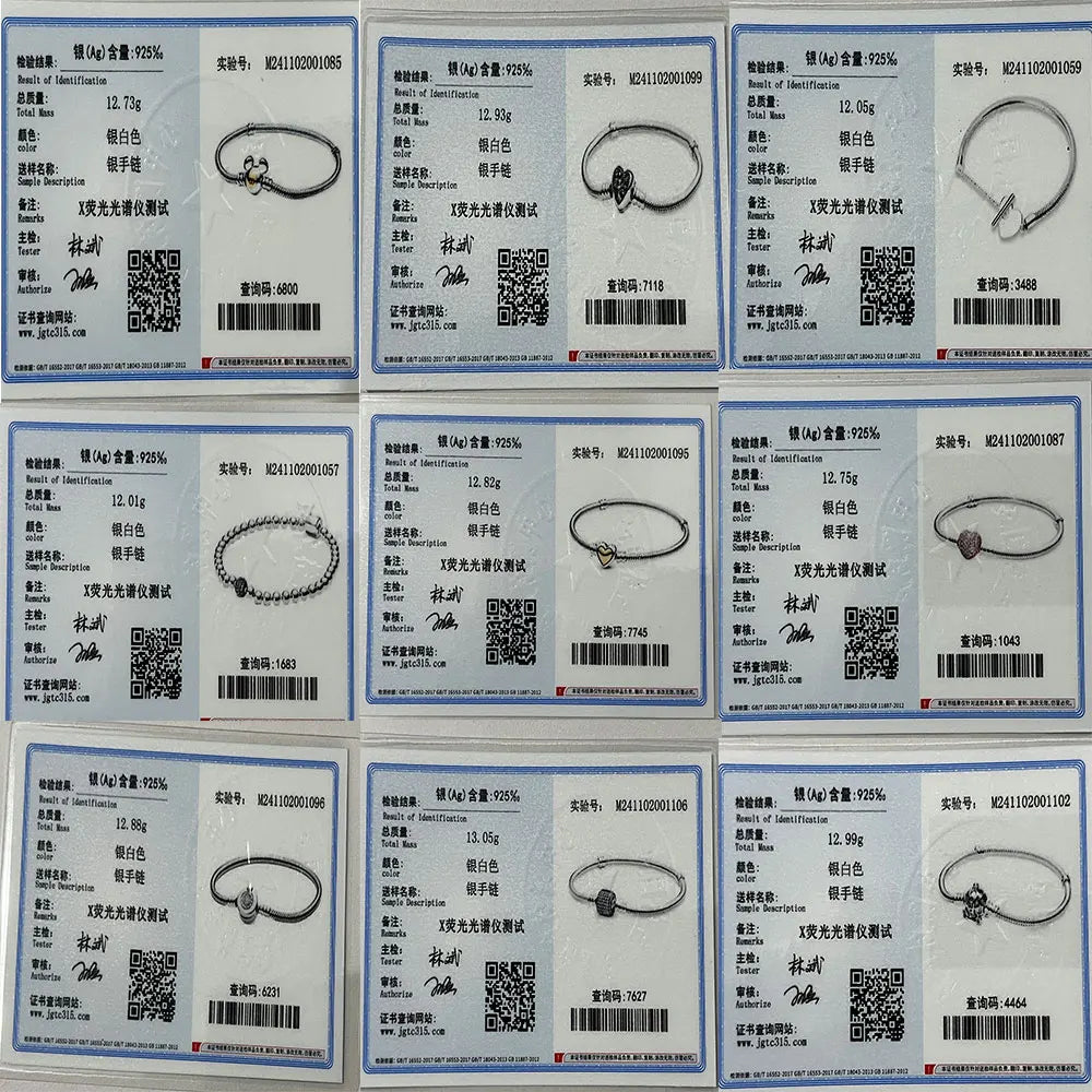 Pulsera de Plata