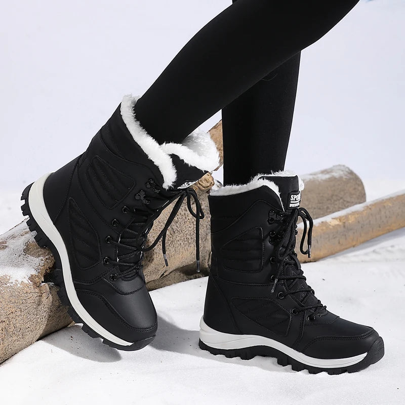 Tenis